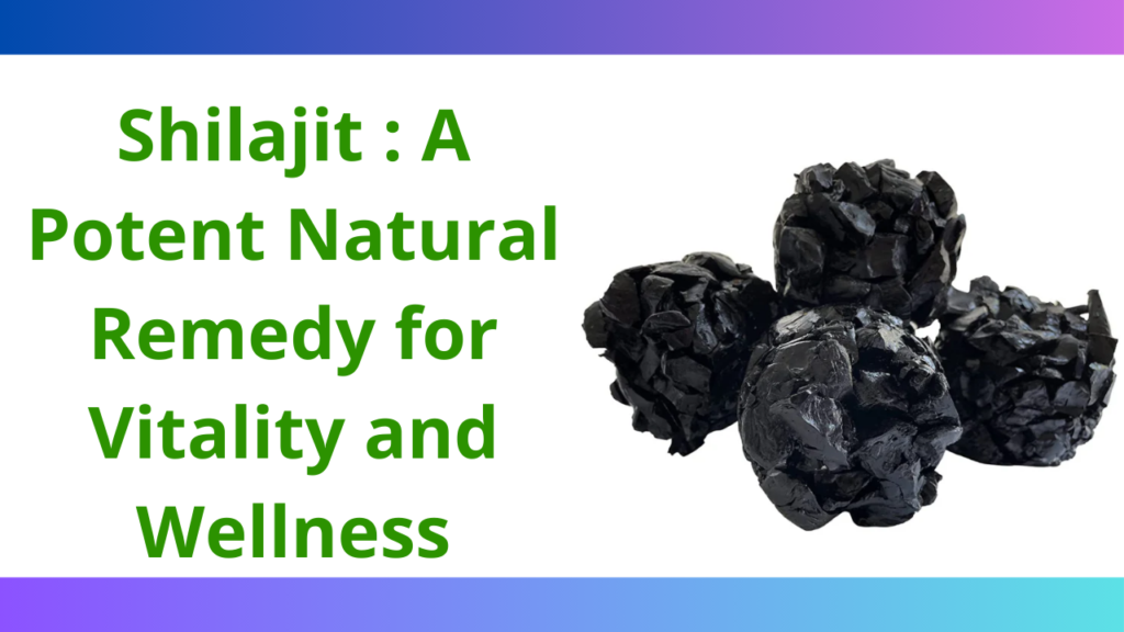 Ayurveda : Shilajit - A Potent Natural Remedy for Vitality and Wellness